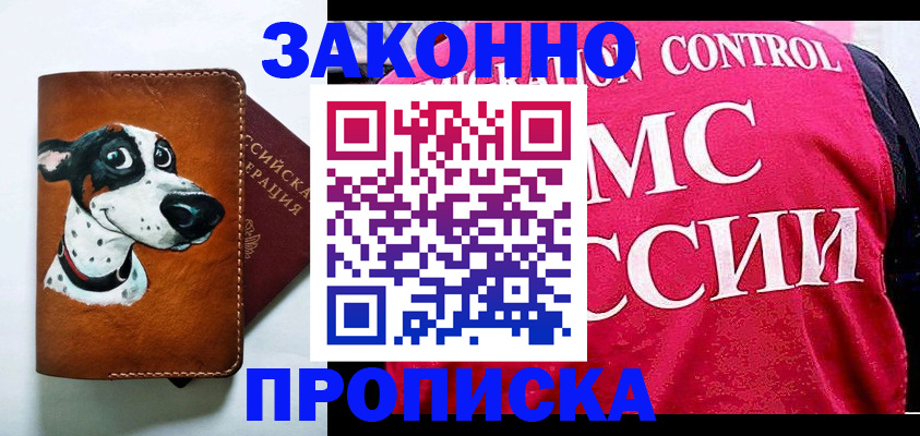 прописка 2025 в Шали